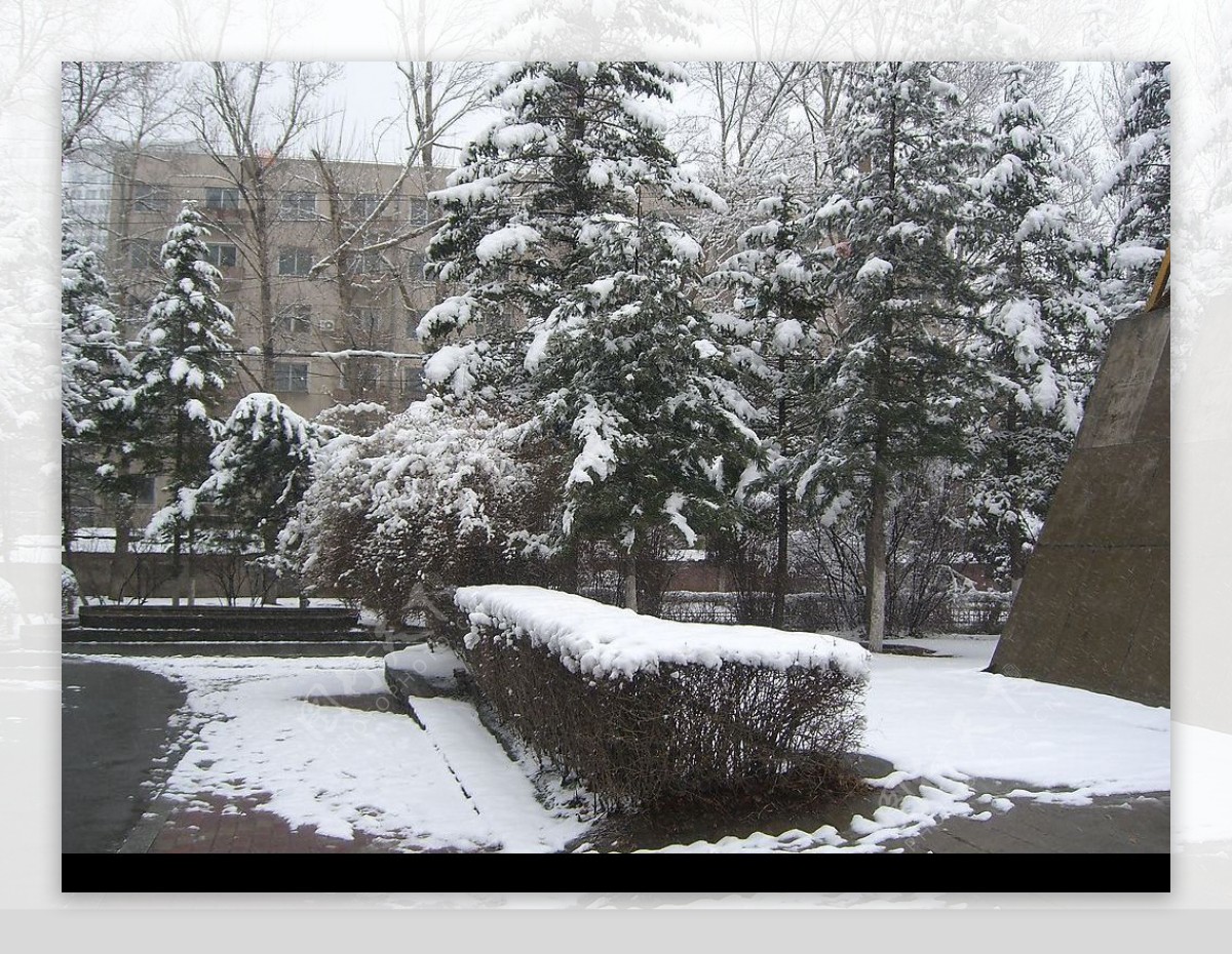 雪景图片