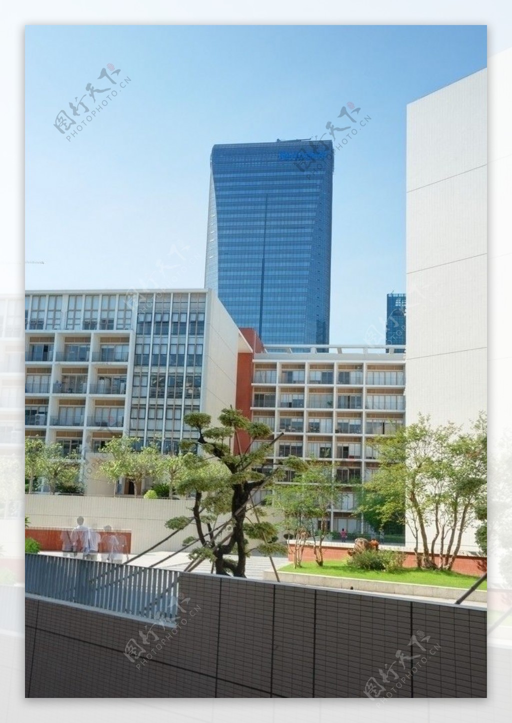 深圳大学文科楼里看腾讯大厦图片