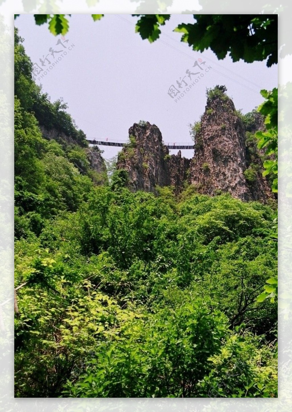 五老峰吊桥图片