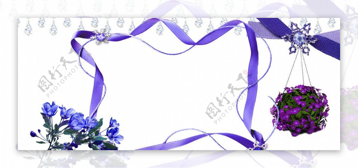 紫色花朵飘带相框图片