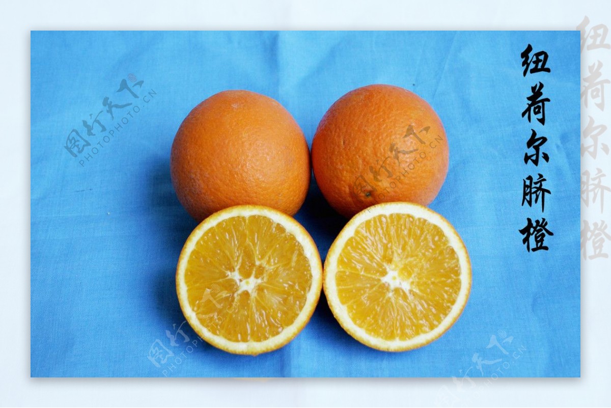 纽荷尔脐橙图片