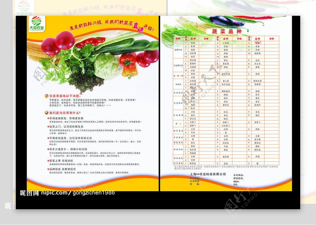 蔬菜彩页设计图片