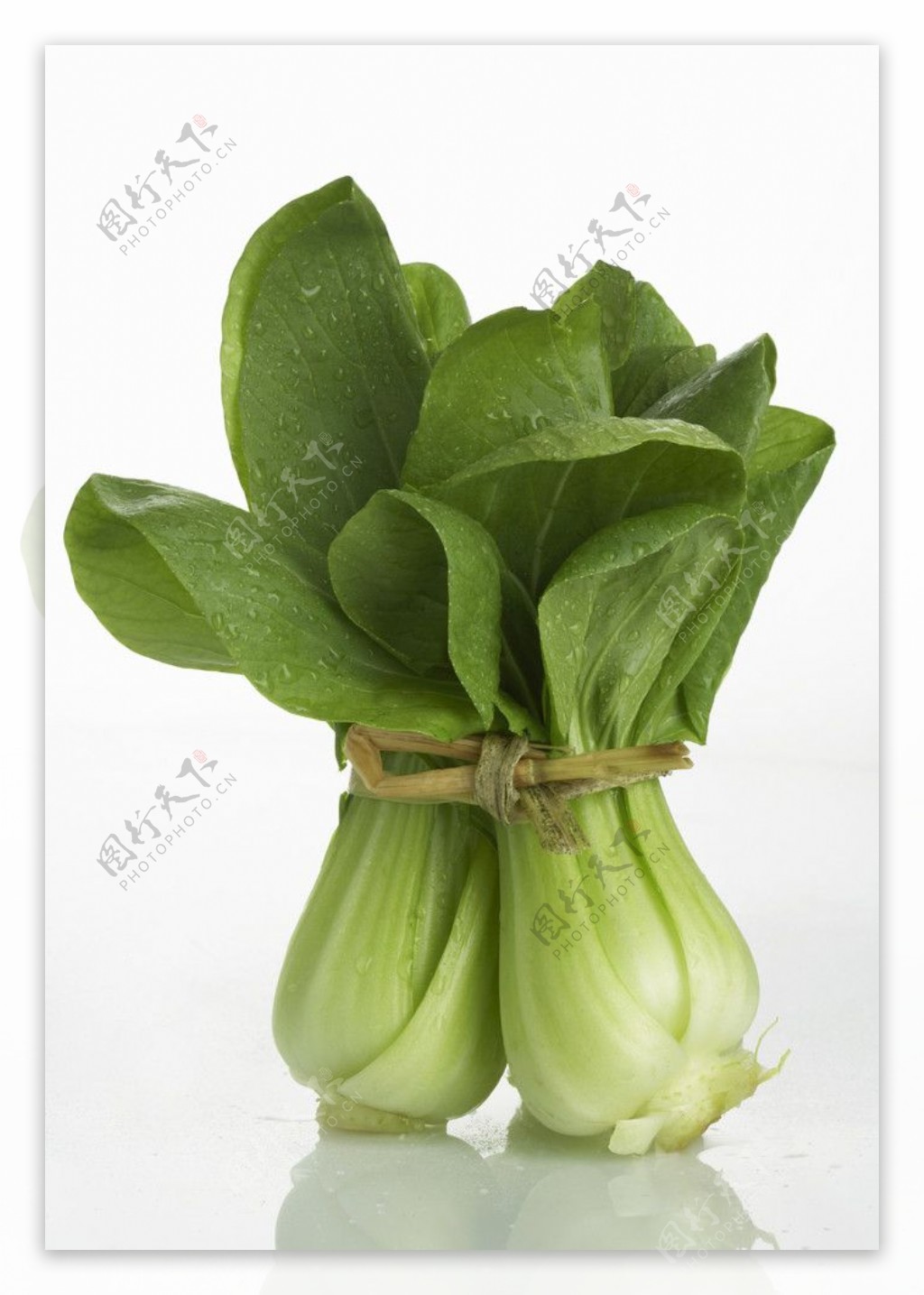 青菜白菜图片