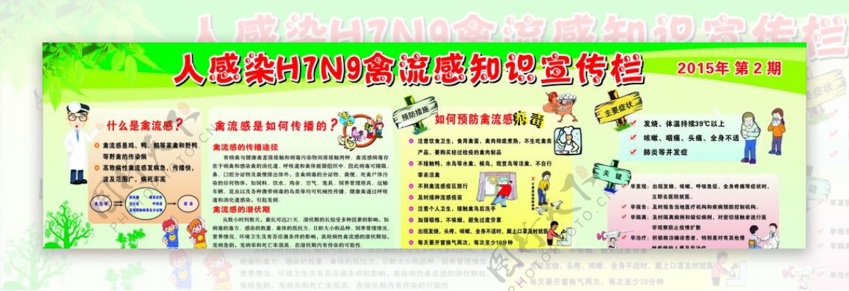 H7N9禽流感图片