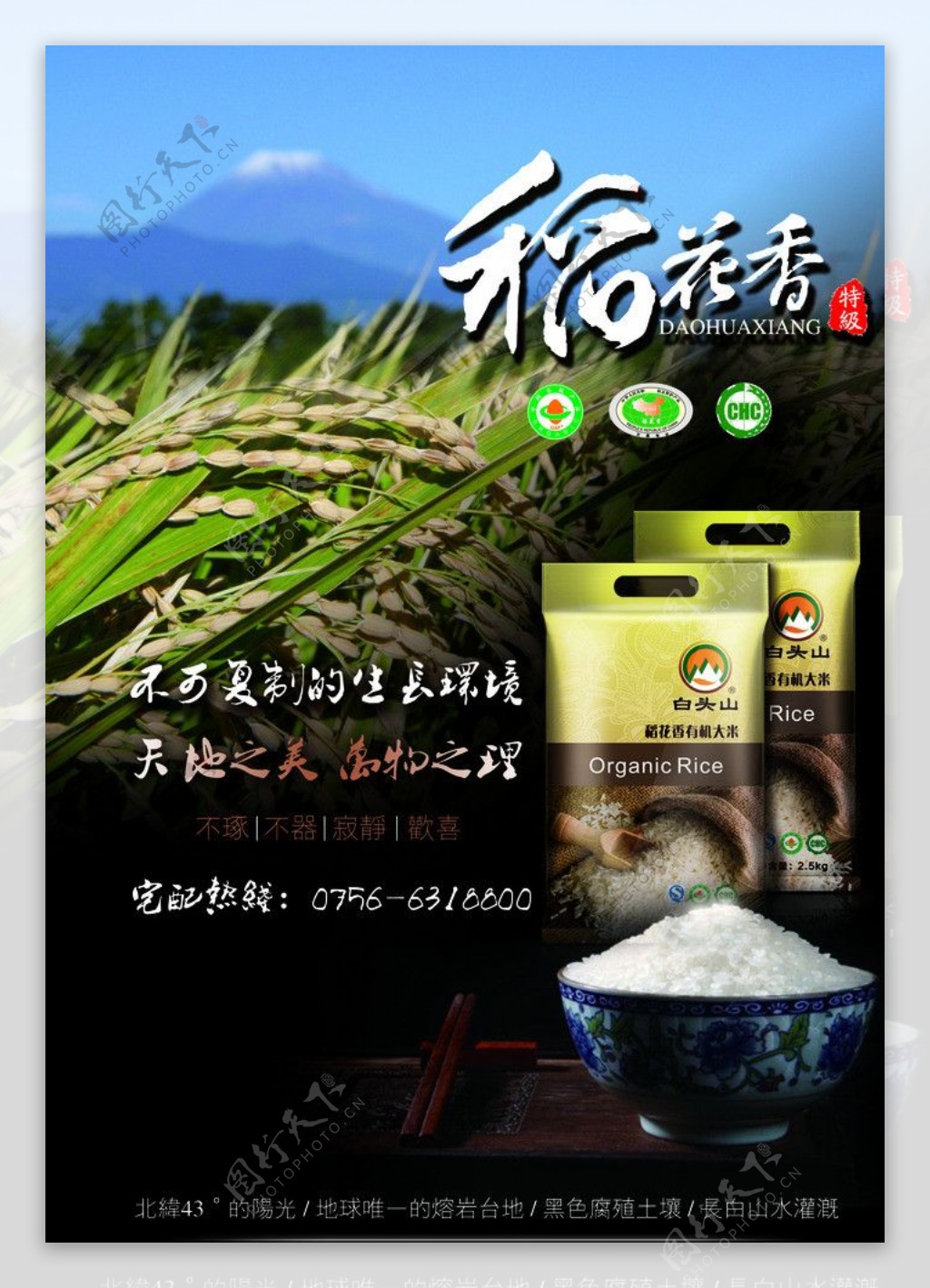 稻花香大米广告图片
