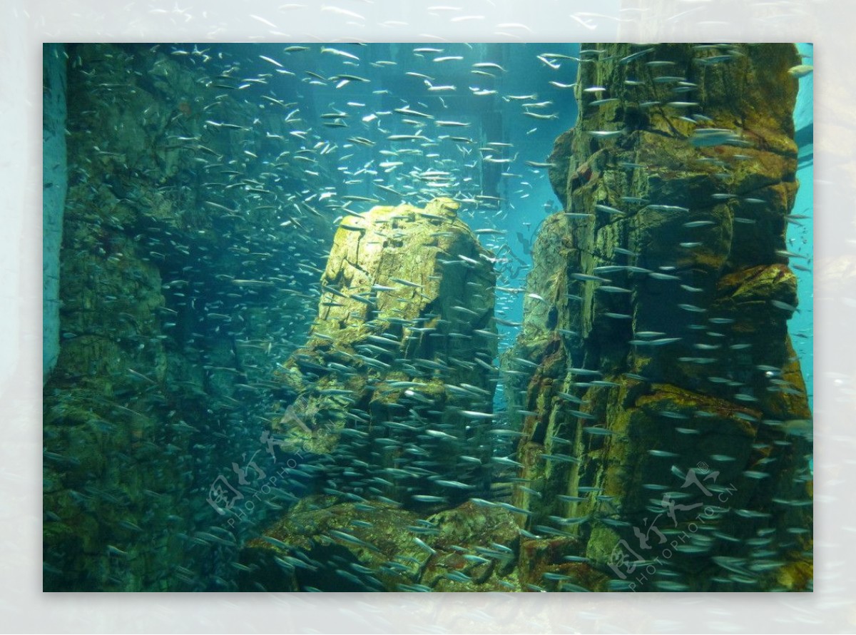 海洋生物馆图片