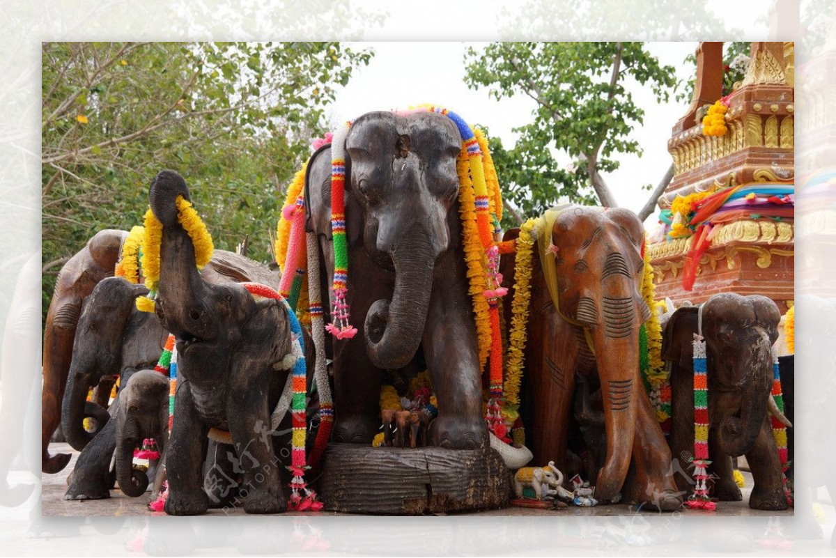 泰国普吉岛大象木雕图片