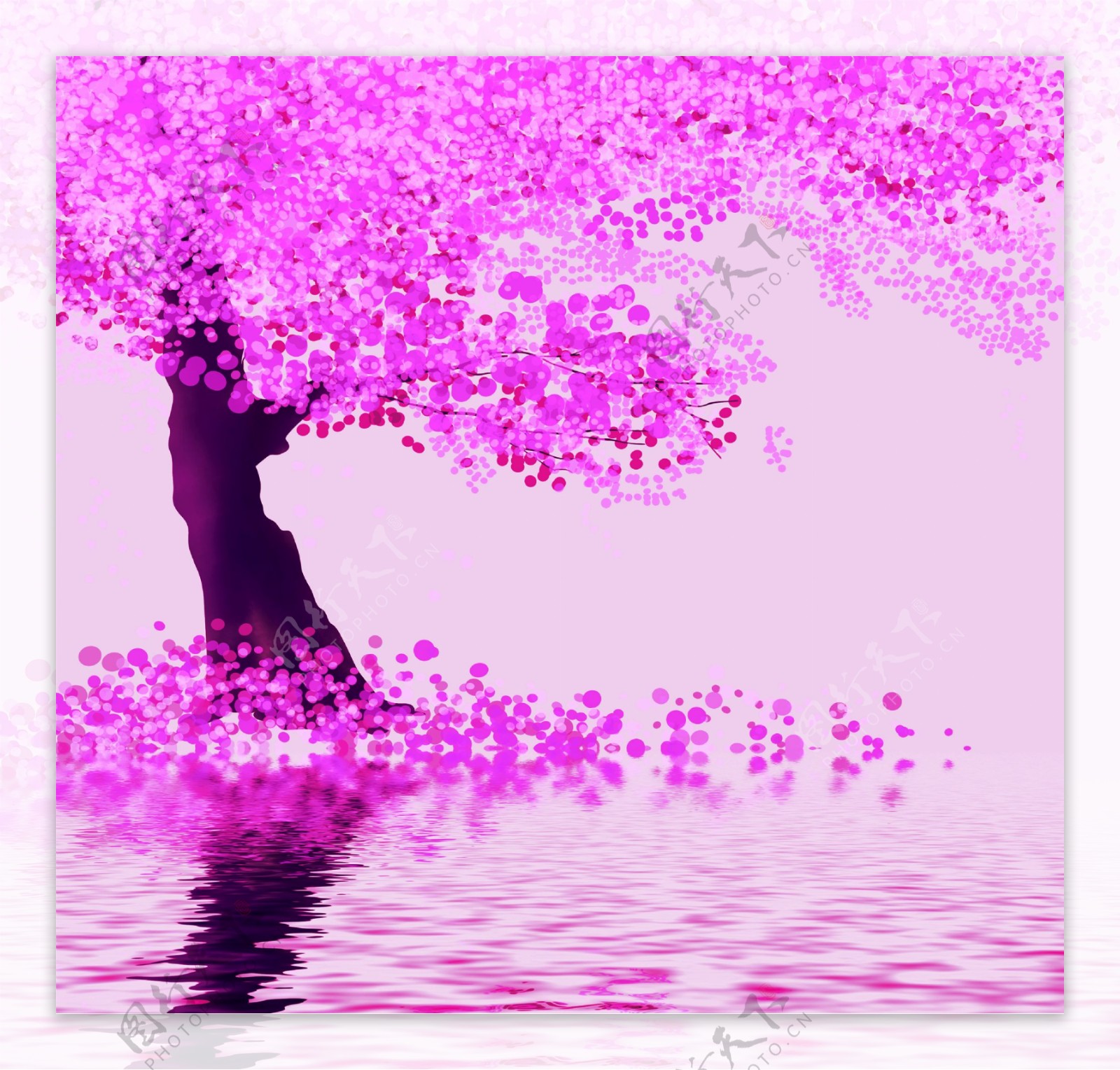 粉红树图片