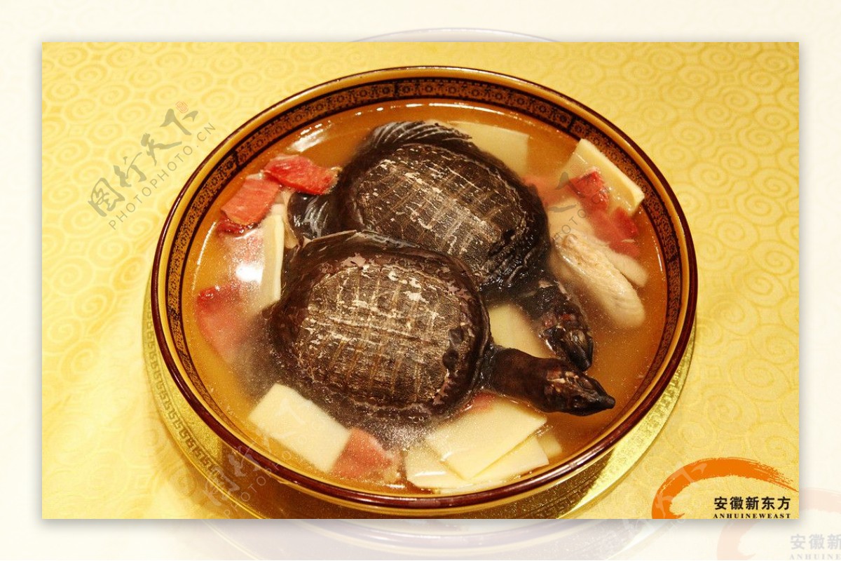 乌龟汤图片