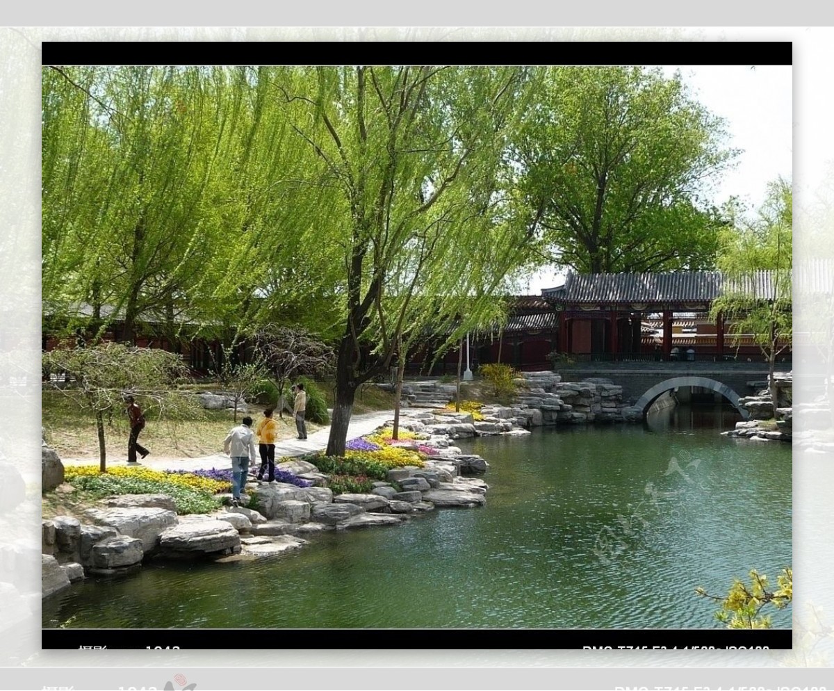 中山公园美景图片