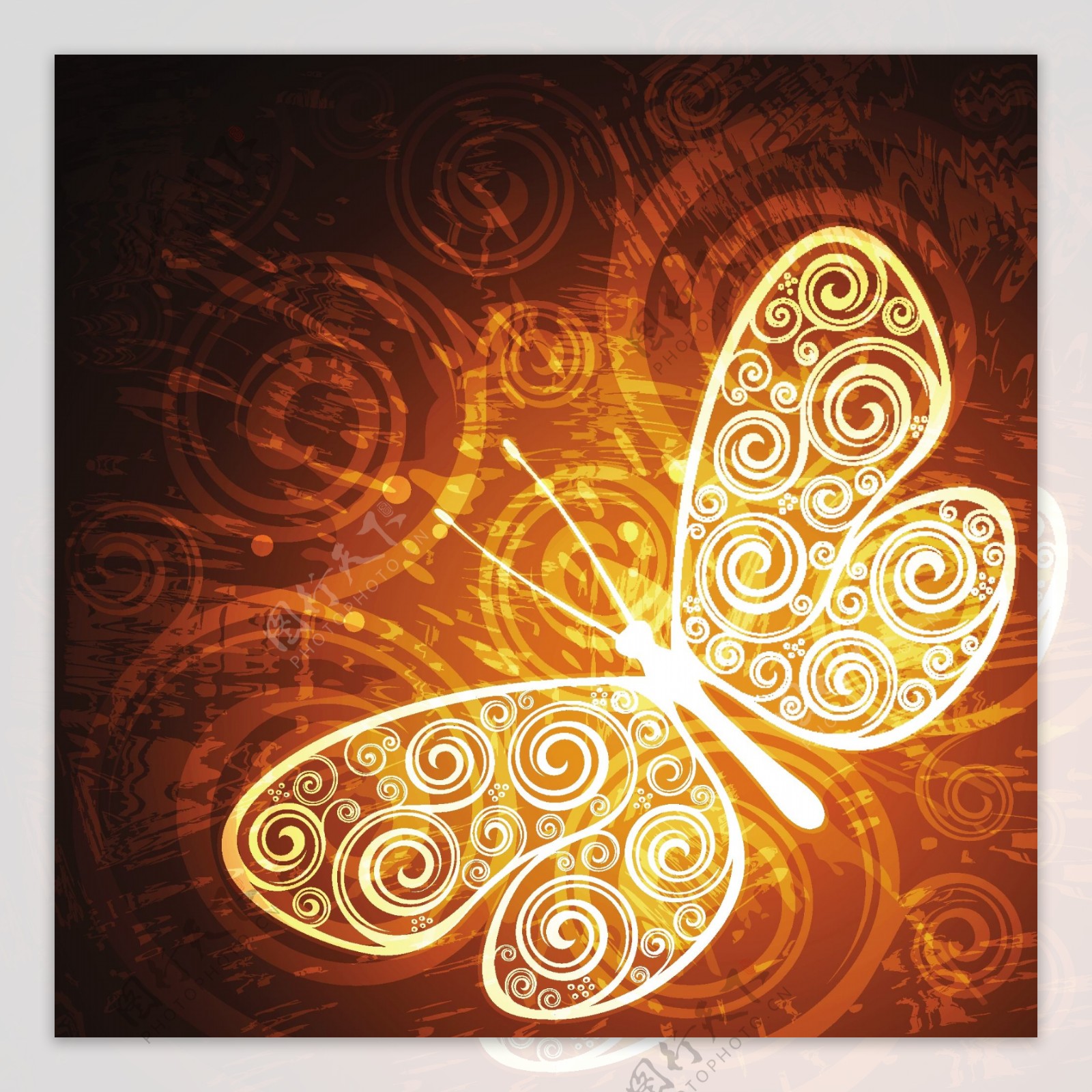 蝴蝶装饰花纹图片