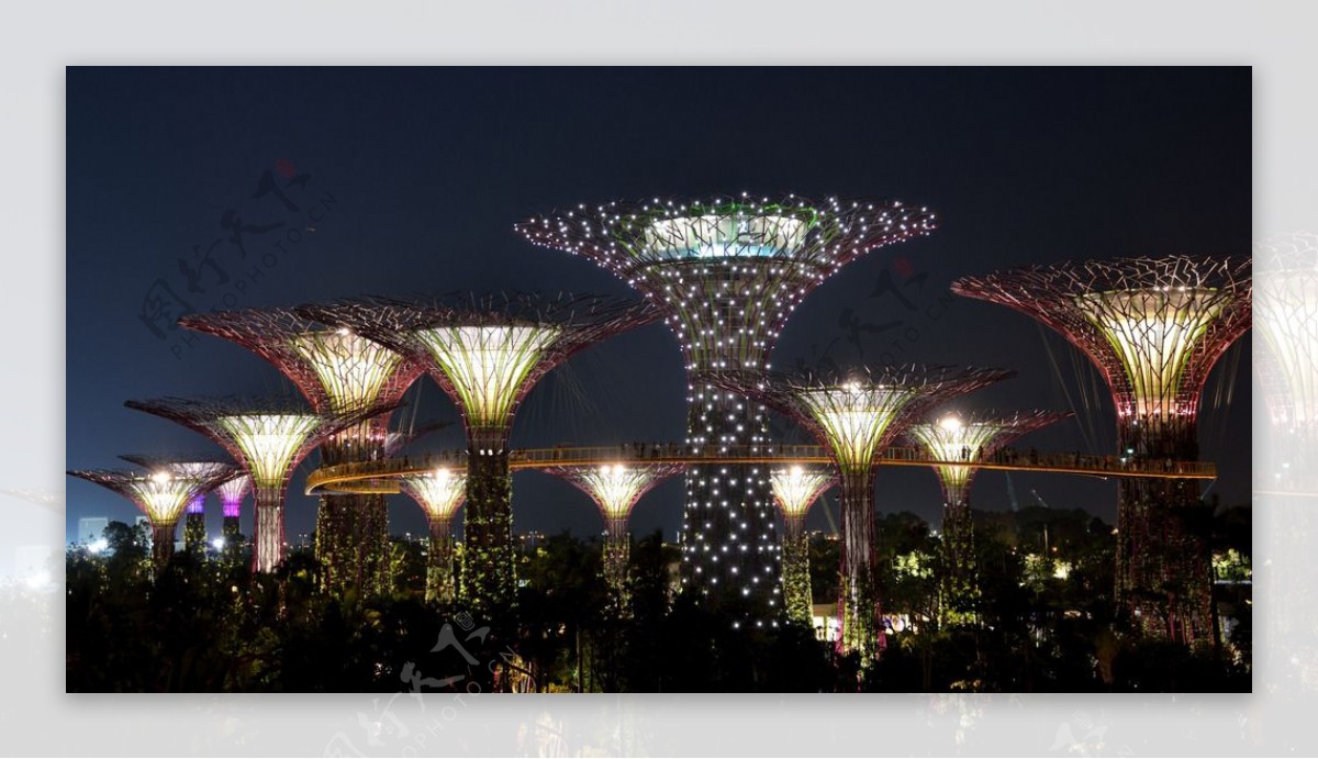 新加坡滨海湾花园夜景图片