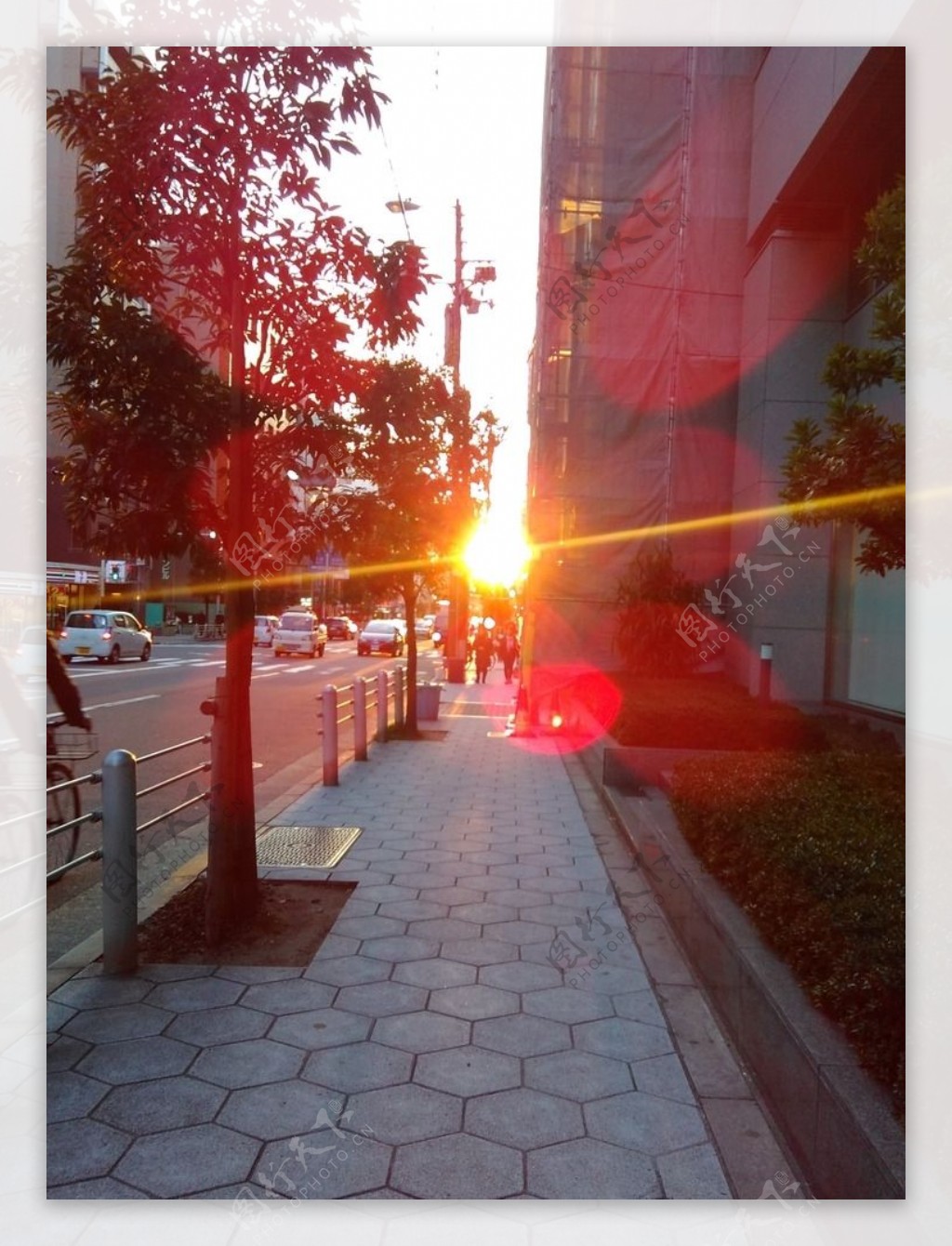 大阪夕阳图片
