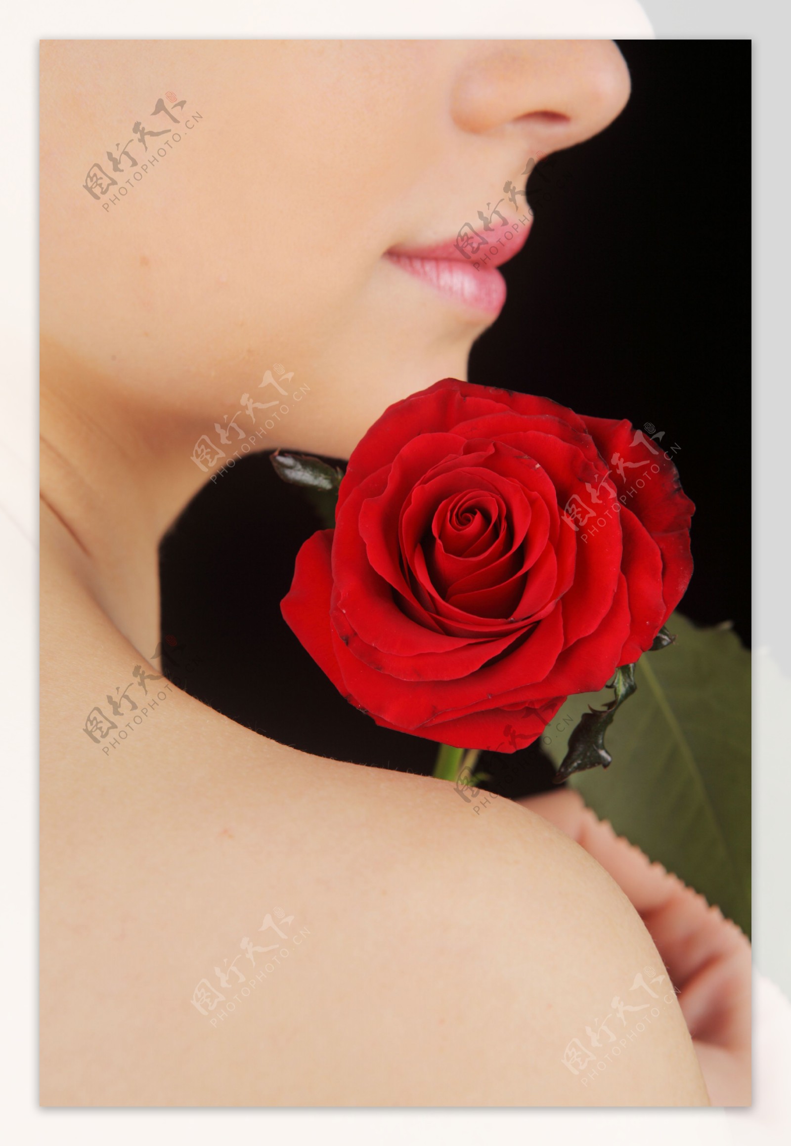 美女玫瑰花图片