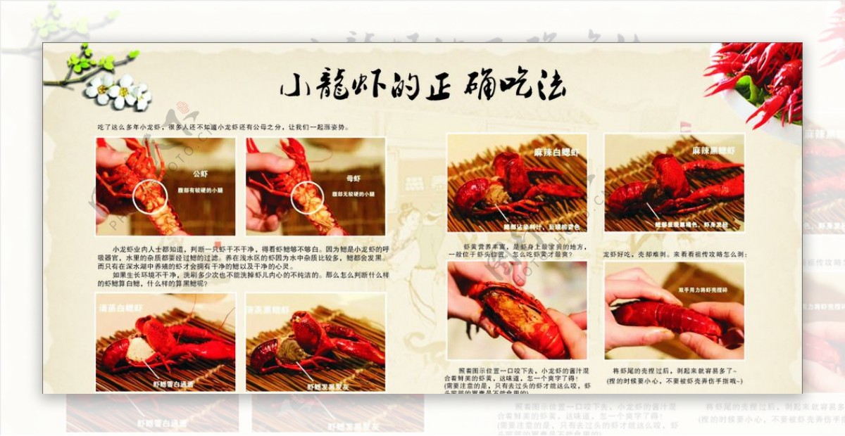 小龙虾的吃法图片