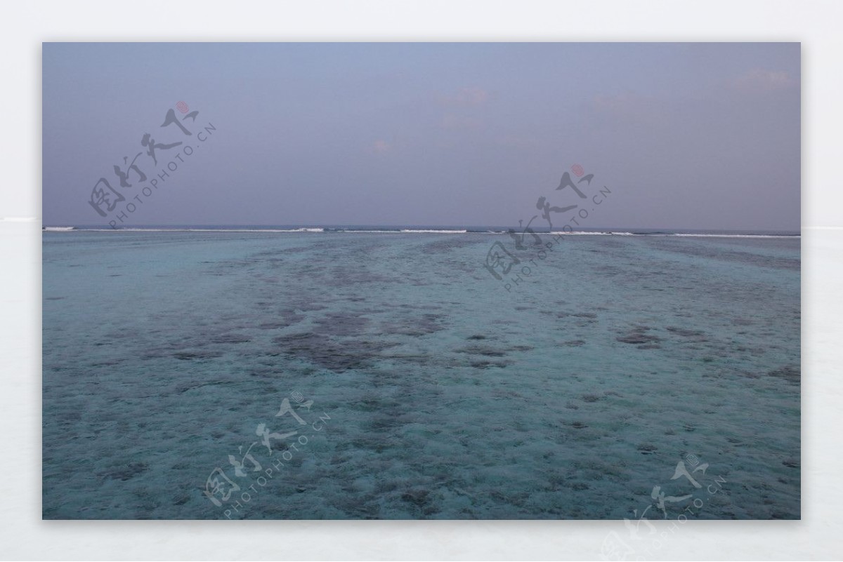 珊瑚礁海床图片