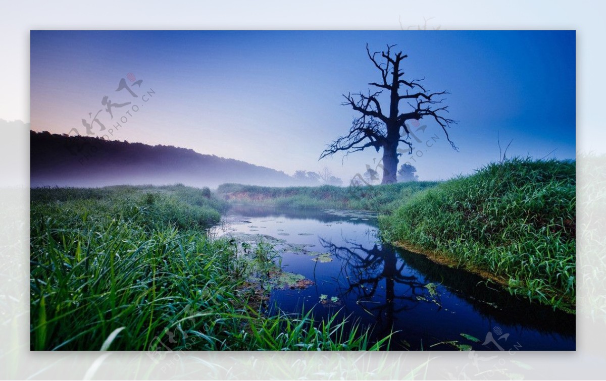 波兰雾河流风景壁纸图片