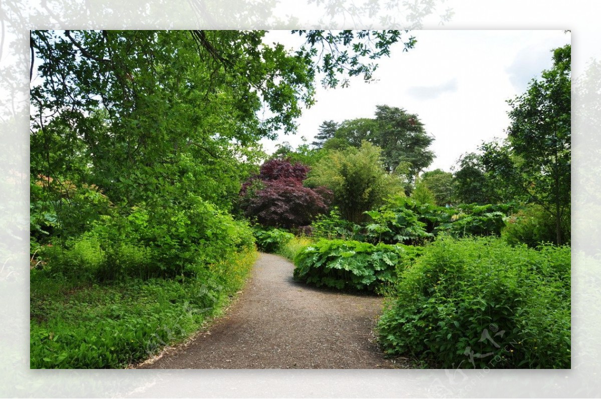 英国Wisley花园图片
