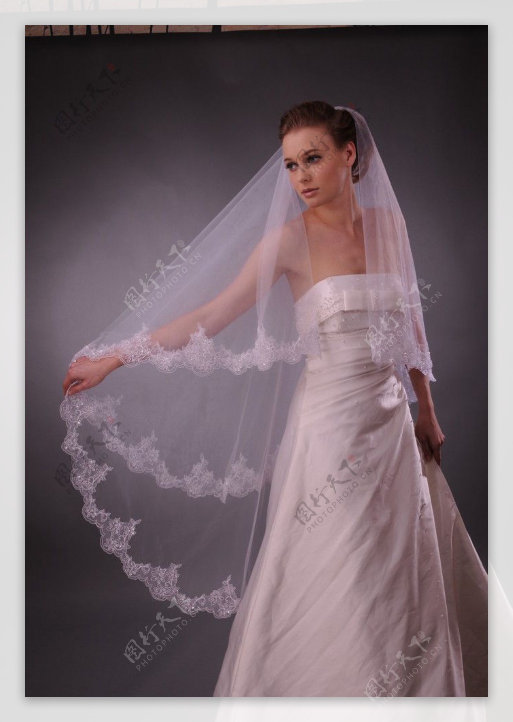 婚纱头纱婚纱头纱设计美丽的新娘图片