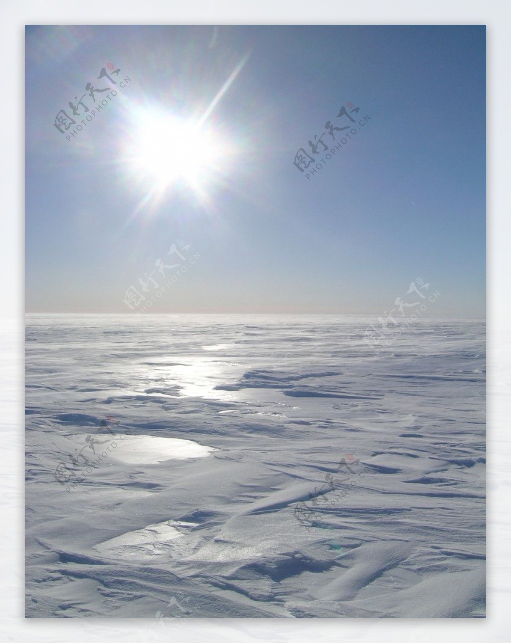 阳光下的雪原图片