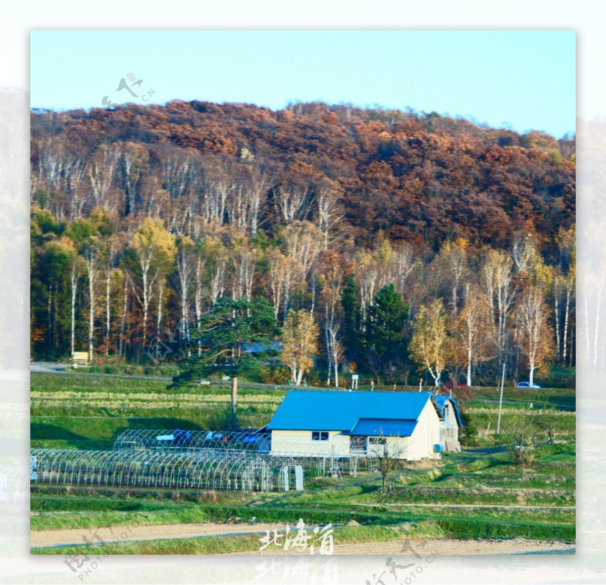 北海道图片