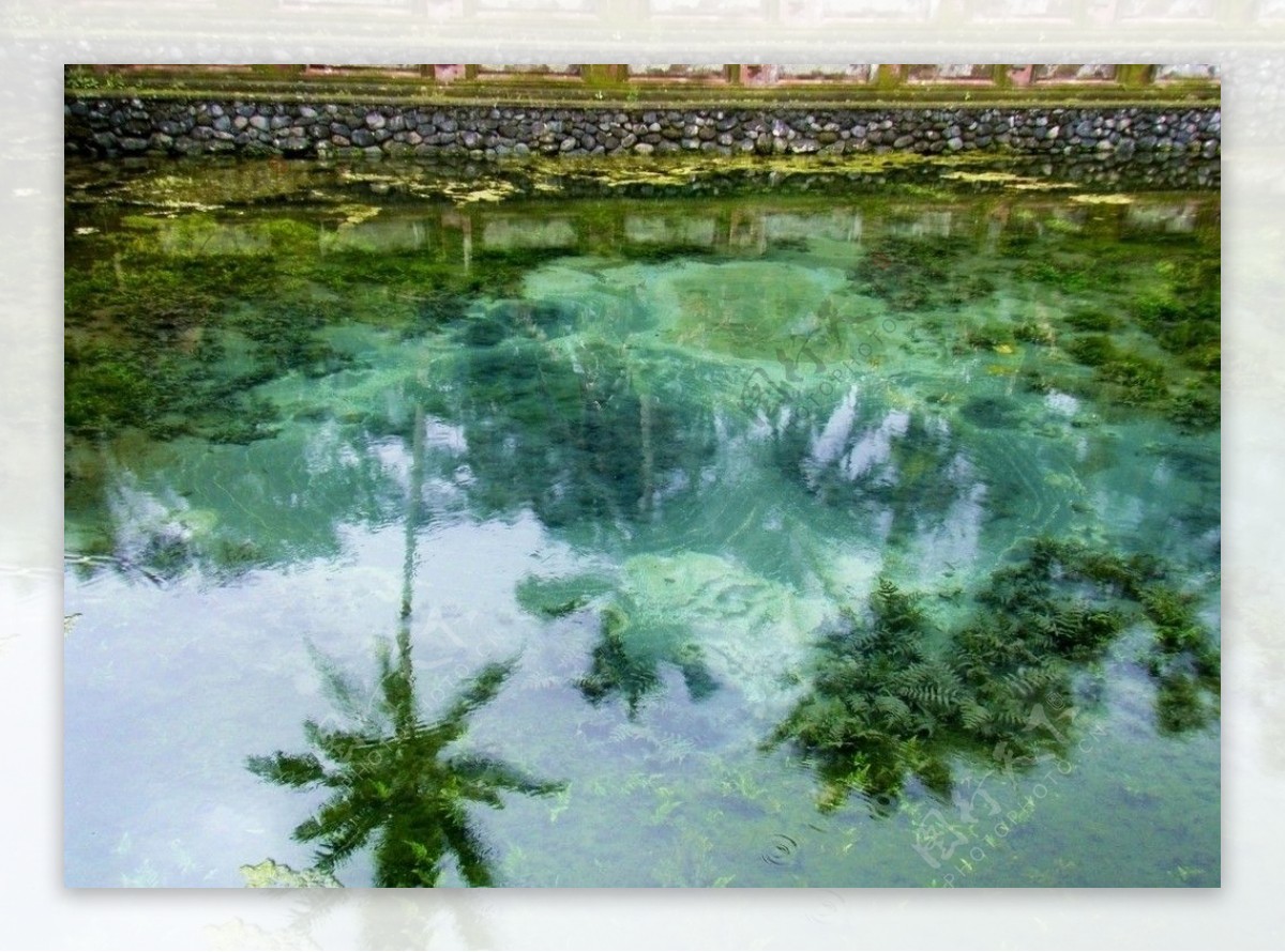 巴厘岛圣泉寺圣泉图片