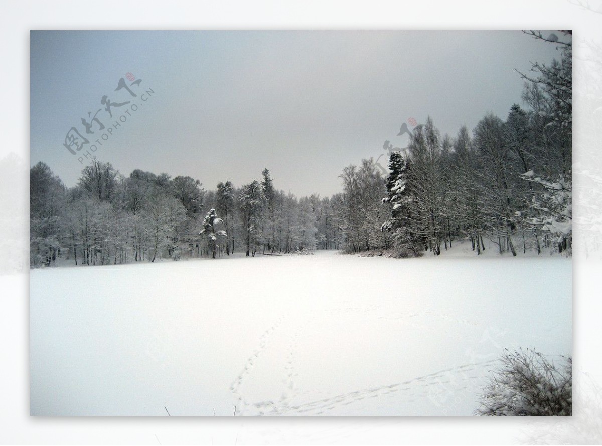 西伯利亚冬季图片