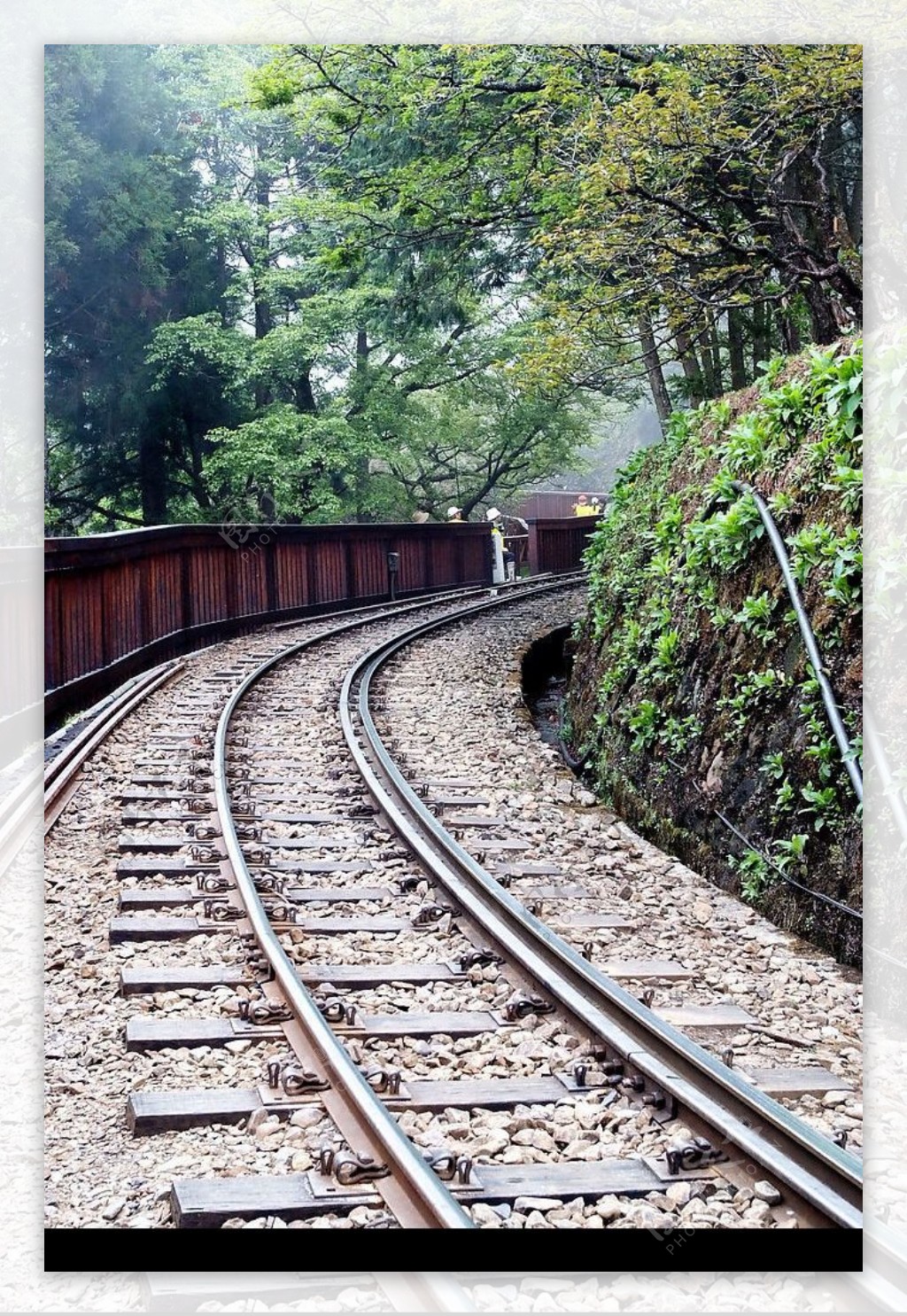 台灣嘉義縣阿里山森林鐵道图片