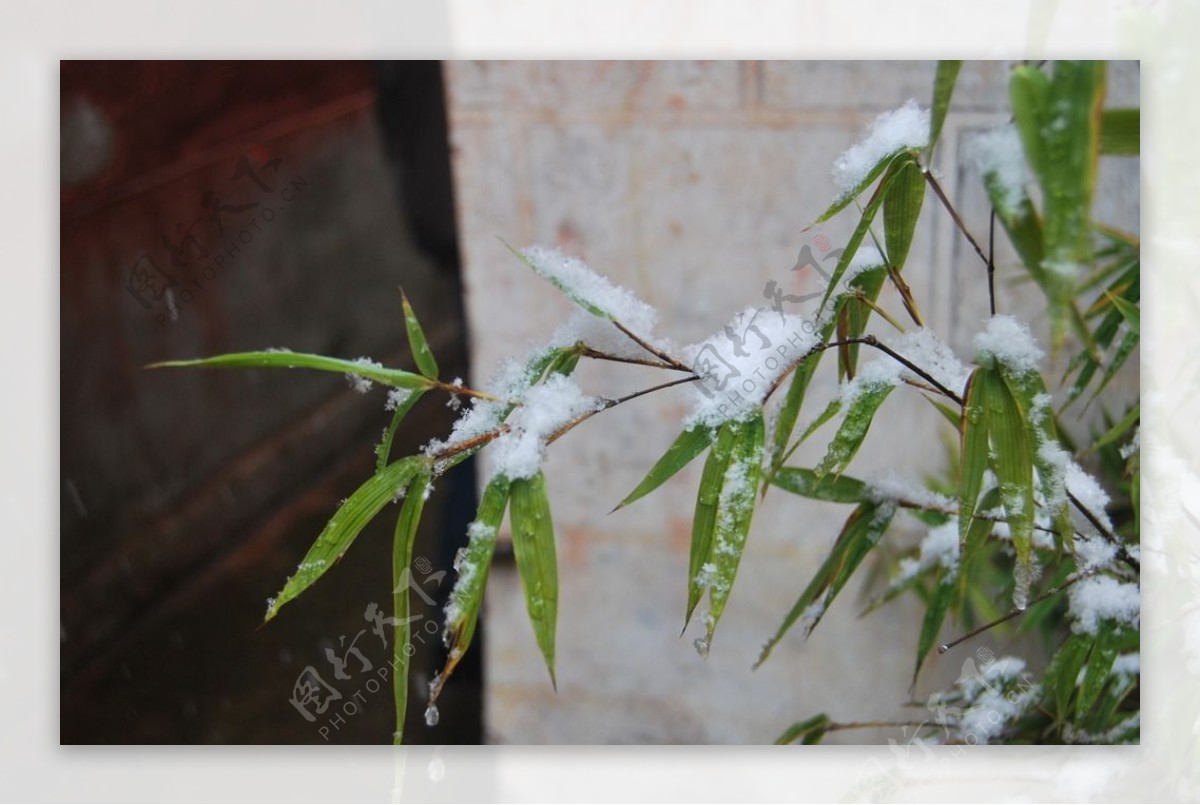 昆明雪景细节图片