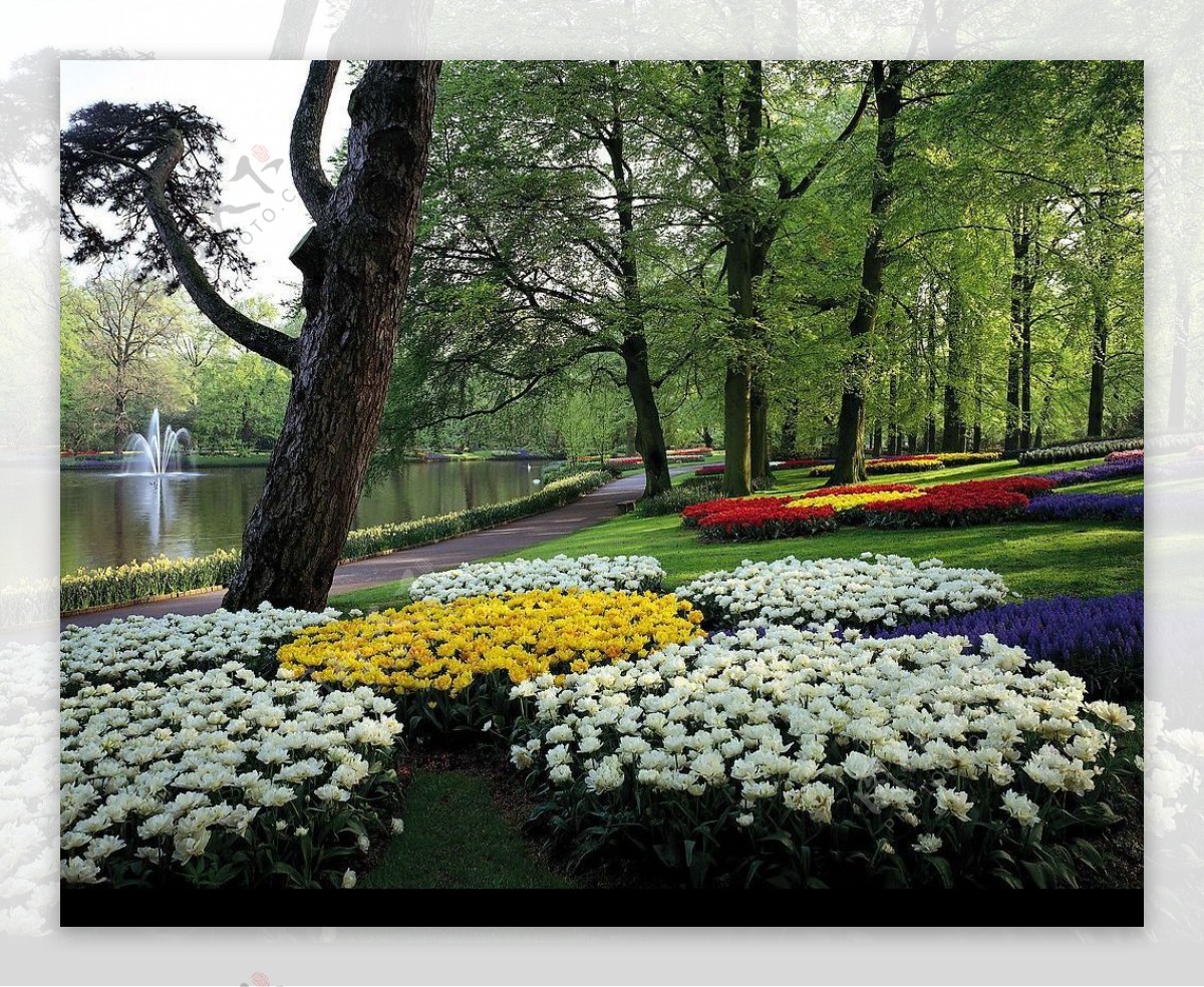 德国花园风景图片