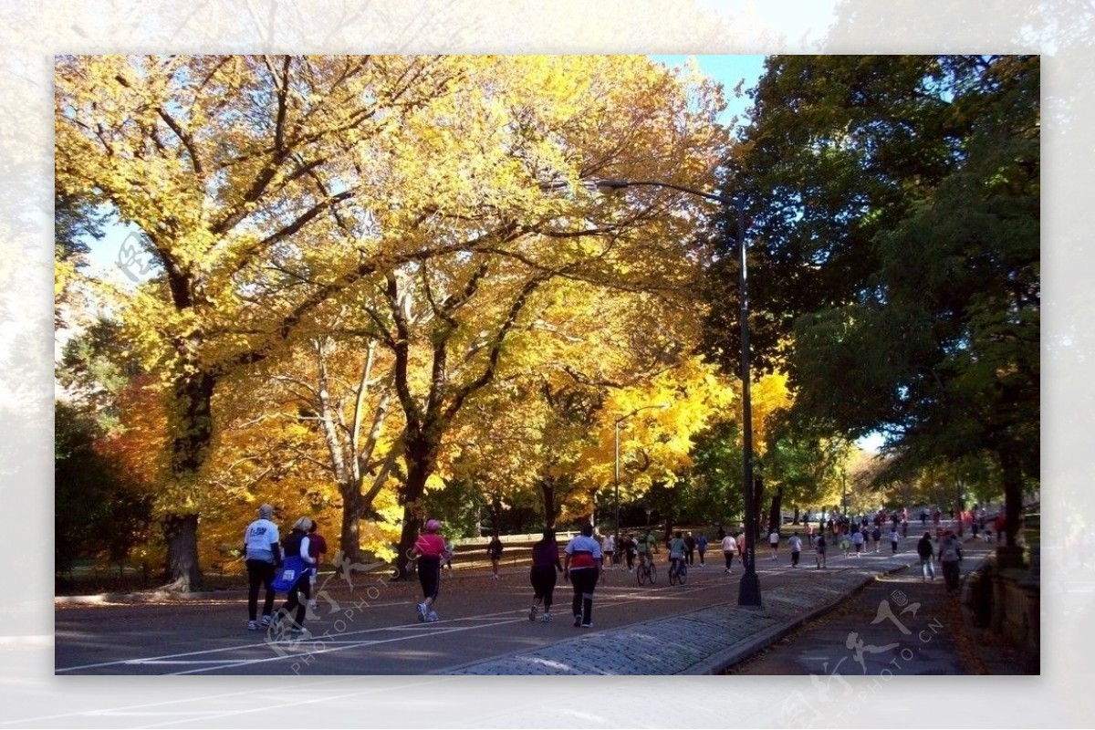 纽约秋季的中央公园图片