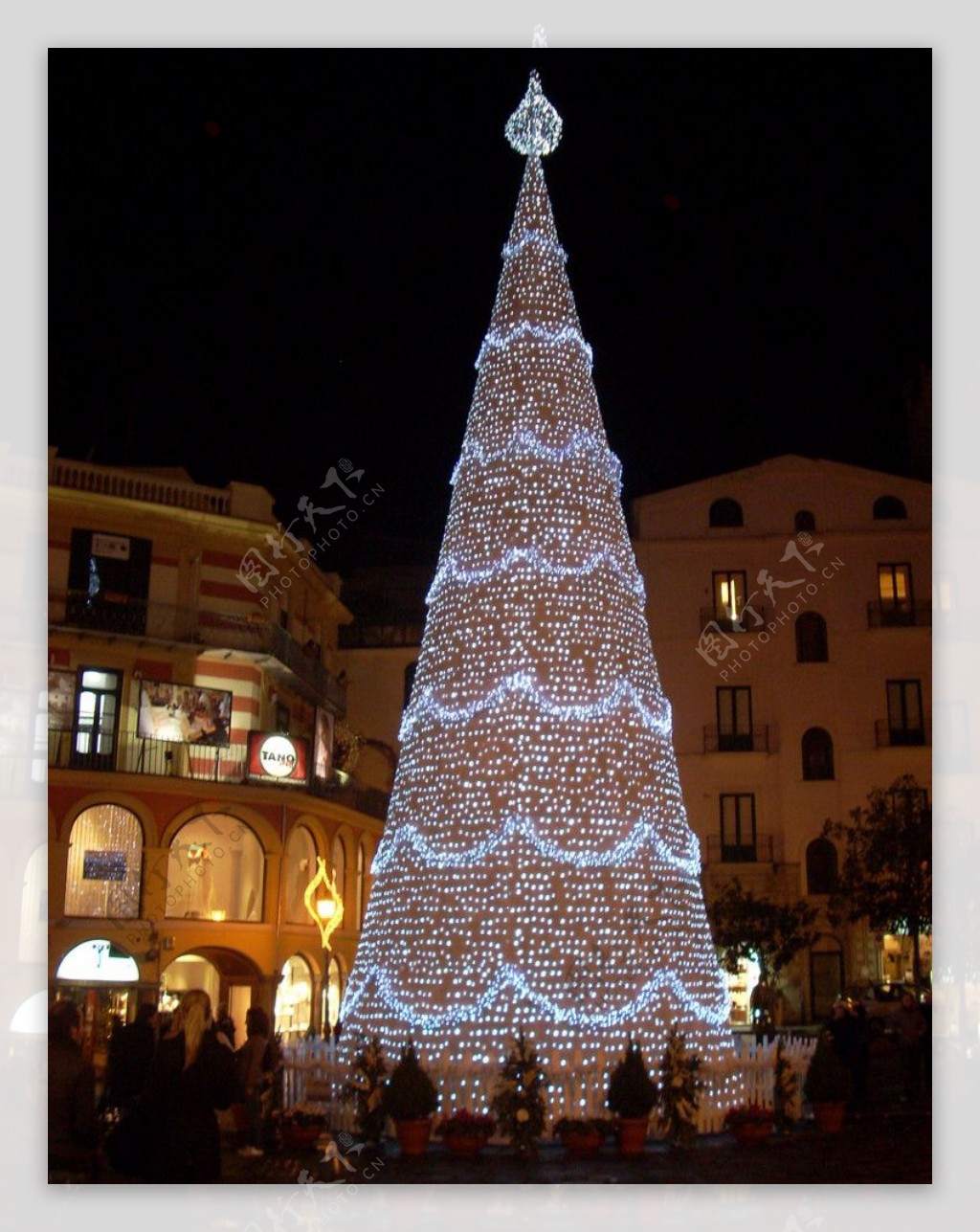 波尔塔诺瓦广场上的圣诞树图片