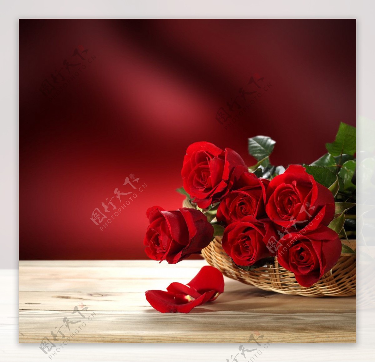 红色的玫瑰花高清壁纸-壁纸图片大全