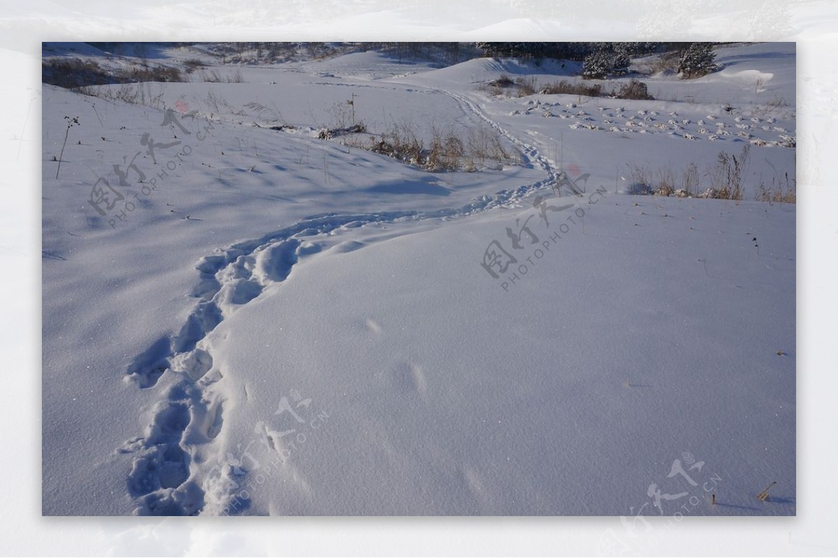 雪脚印痕迹图片