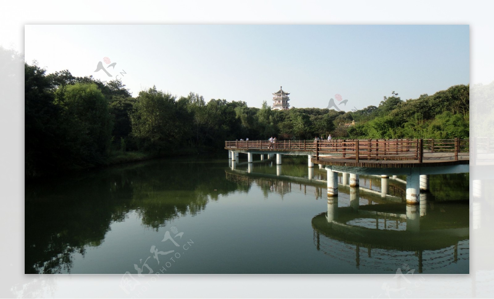 南湾湖茶岛图片