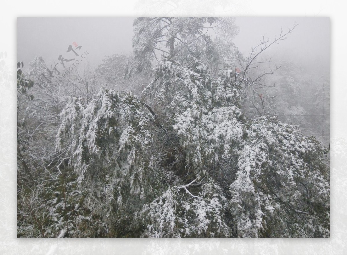 西岭雪山雪景图片