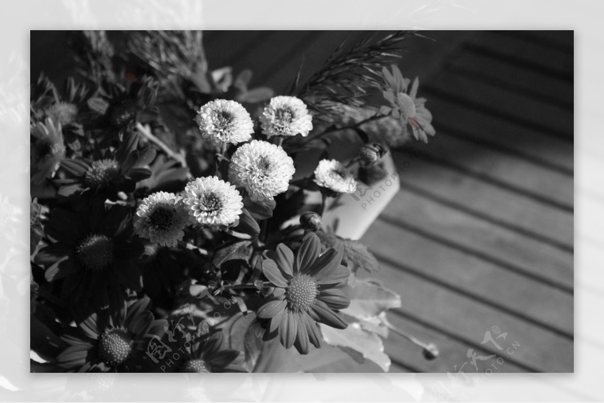 花朵图片