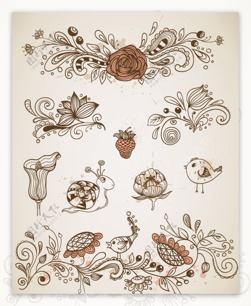 古典花纹花朵花卉装饰设计图片