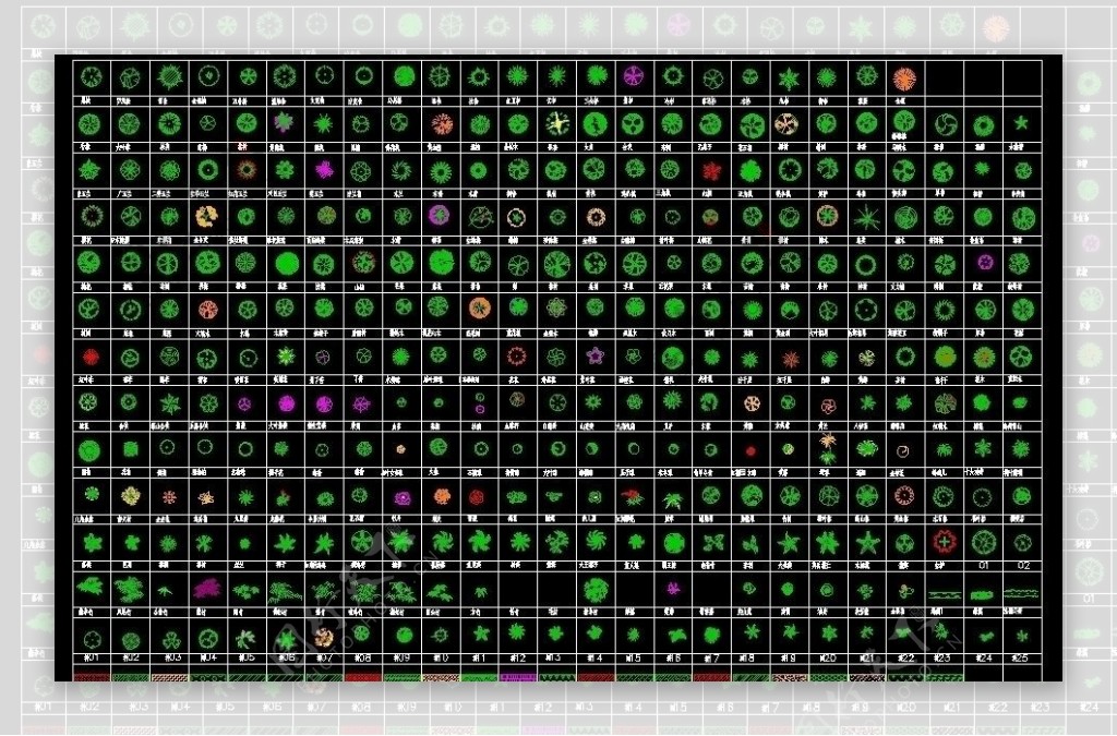 cad植物平面图库图片