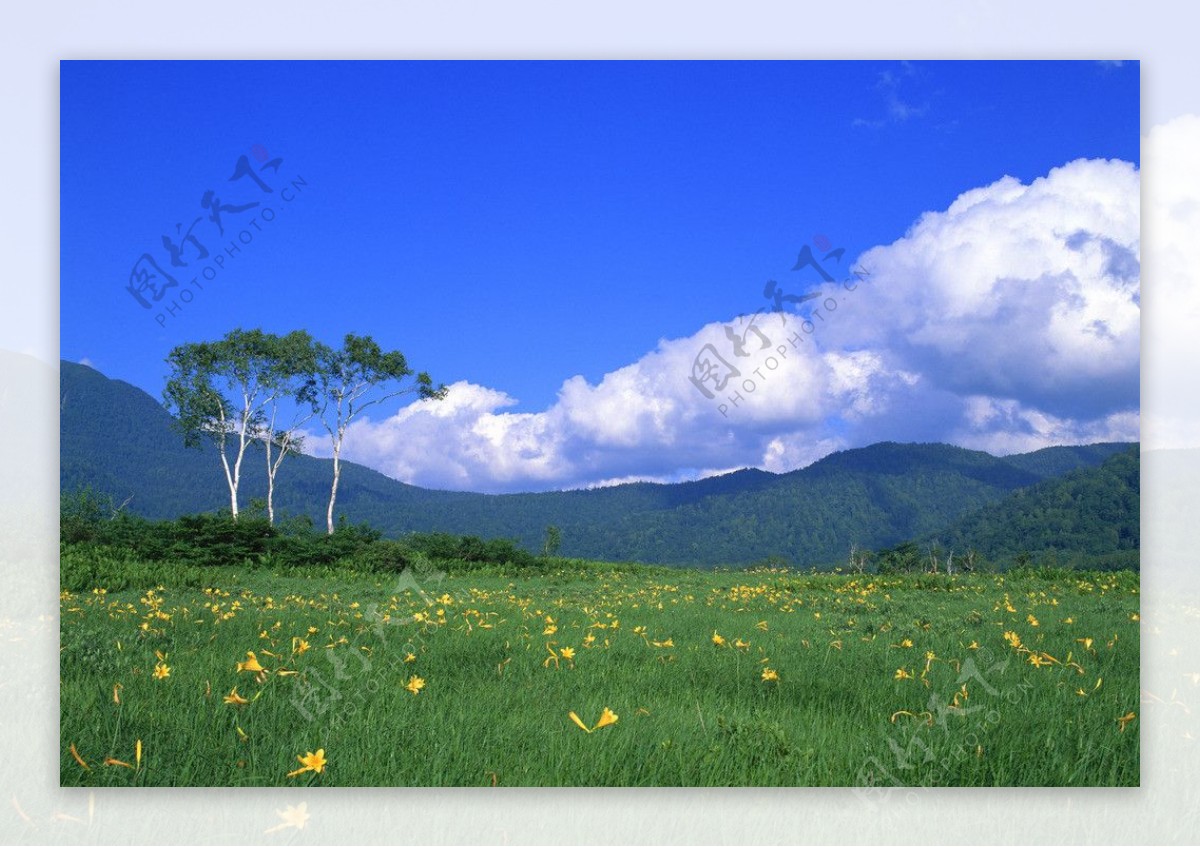 美丽的西域风景图片