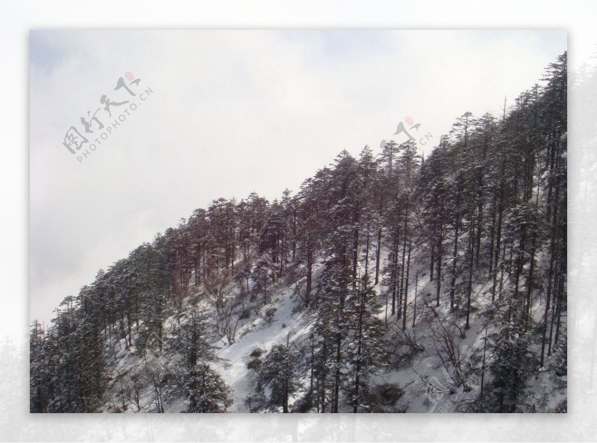 峨眉山雪景图片