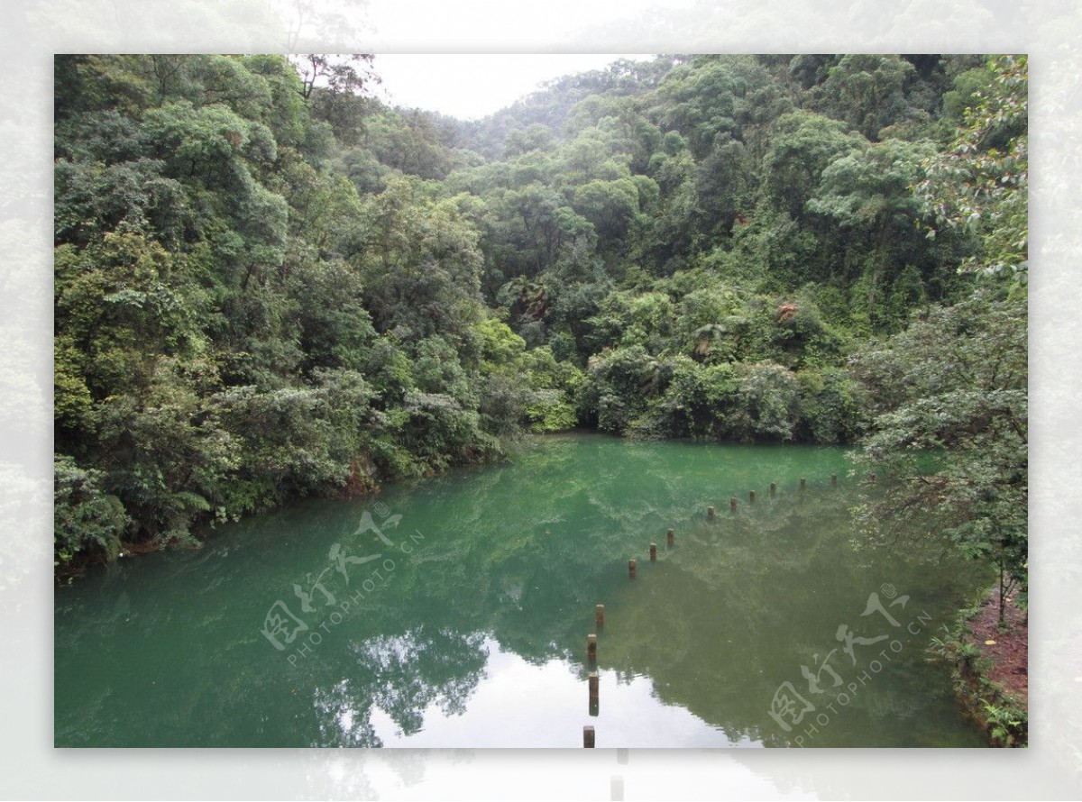 肇庆鼎湖山图片