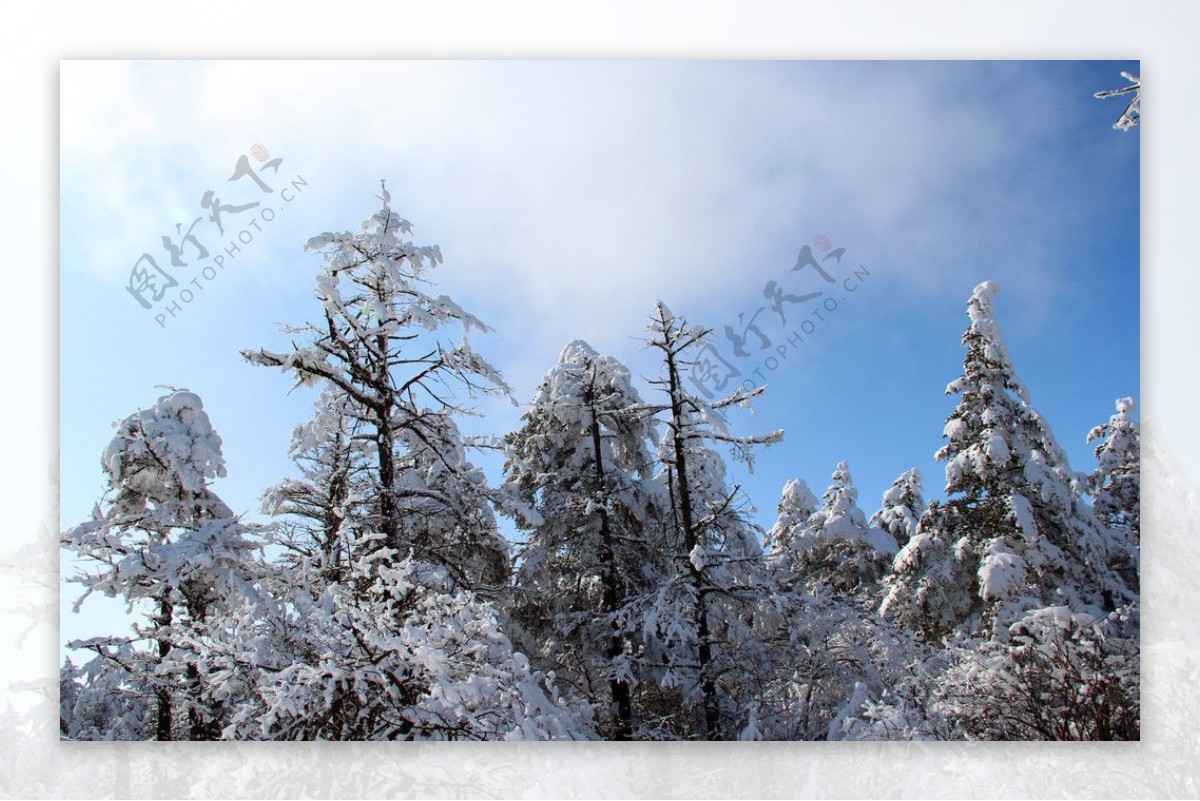 雪景峨眉山图片