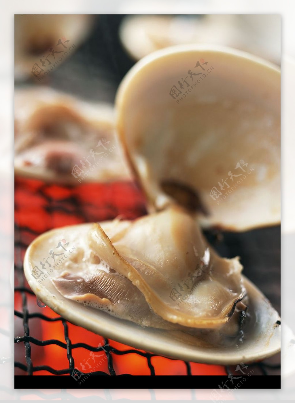 烤花蛤图片