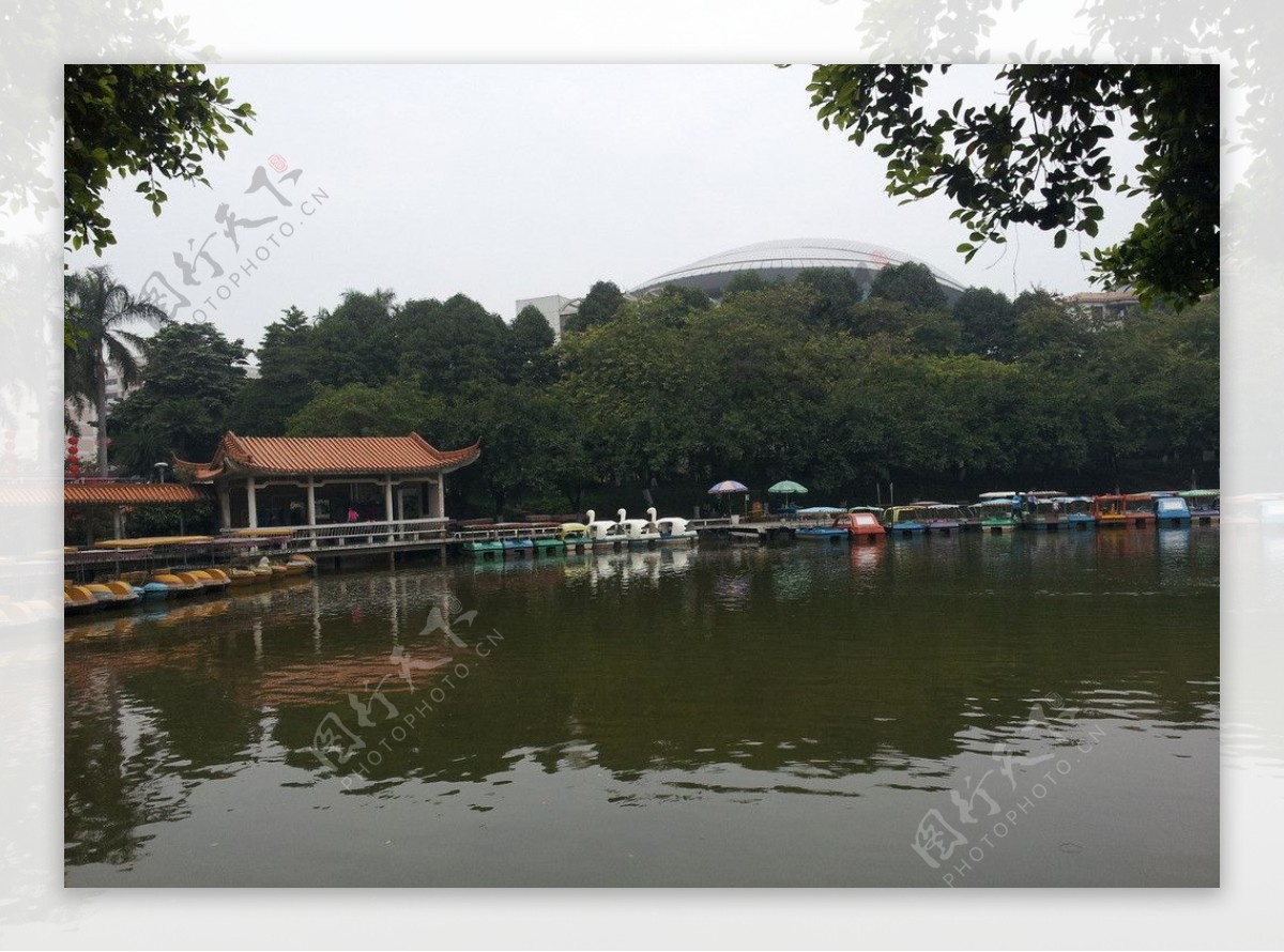 东莞人民公园人工湖图片