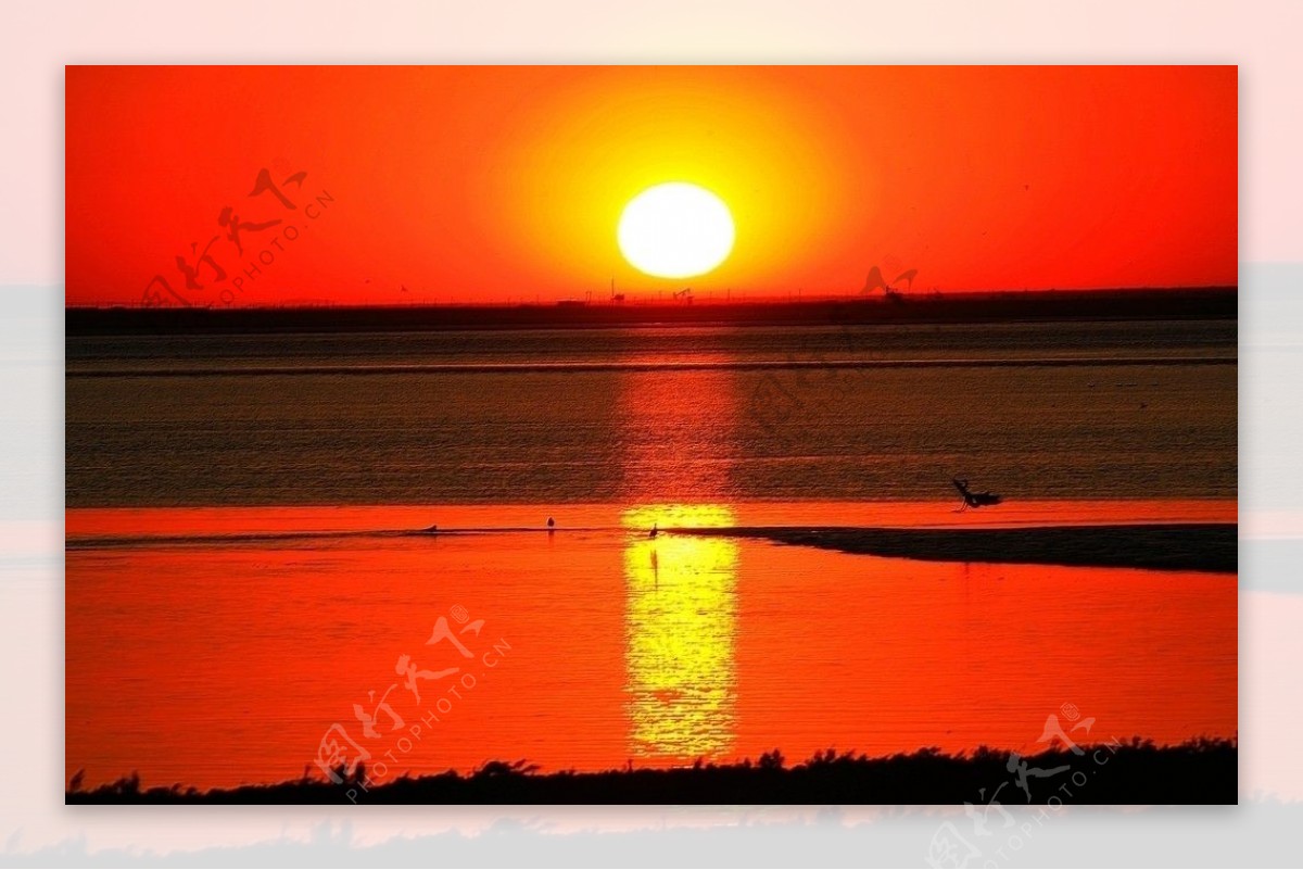 红海滩日落图片