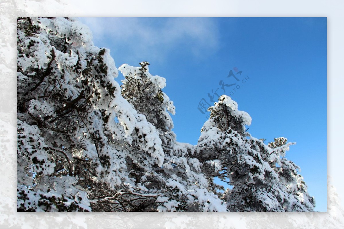 雪景峨眉山图片