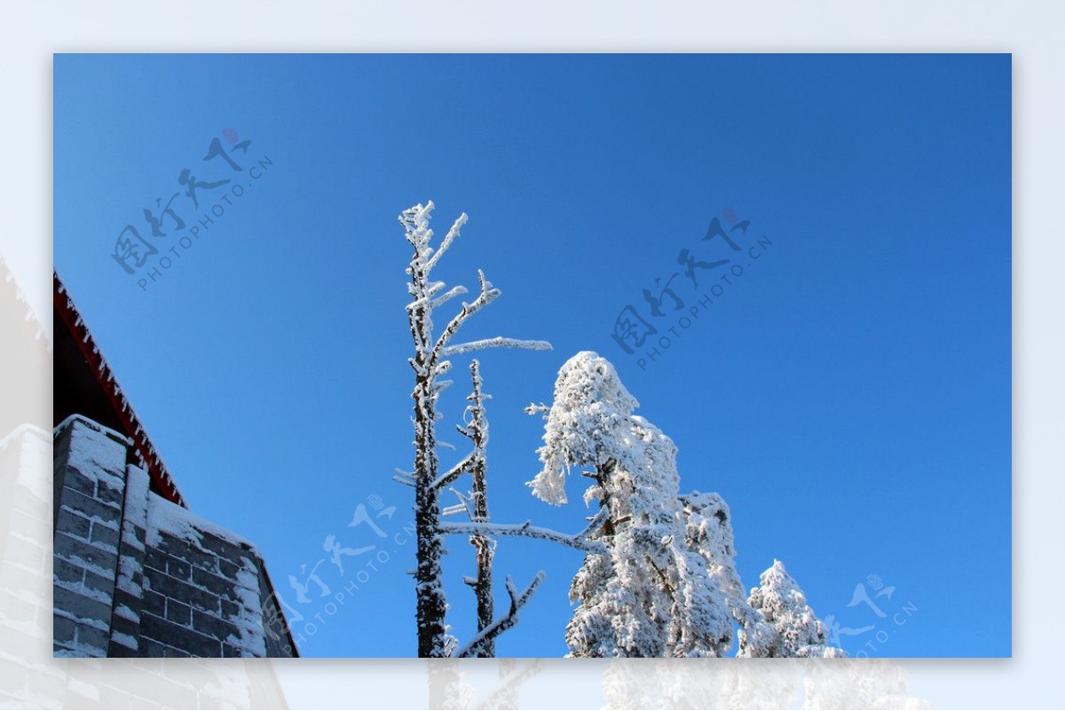 雪景图片