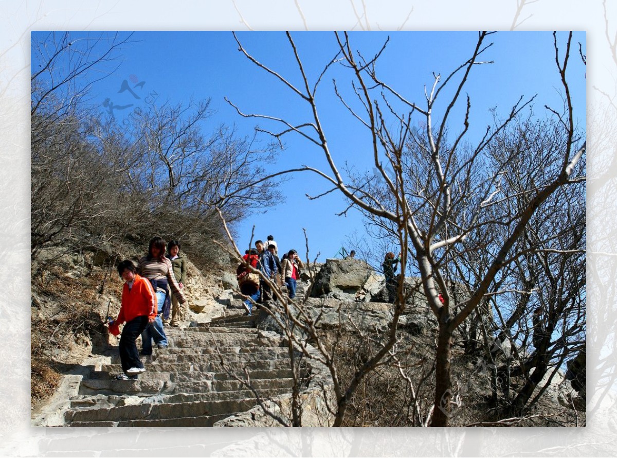 北京三月香山图片