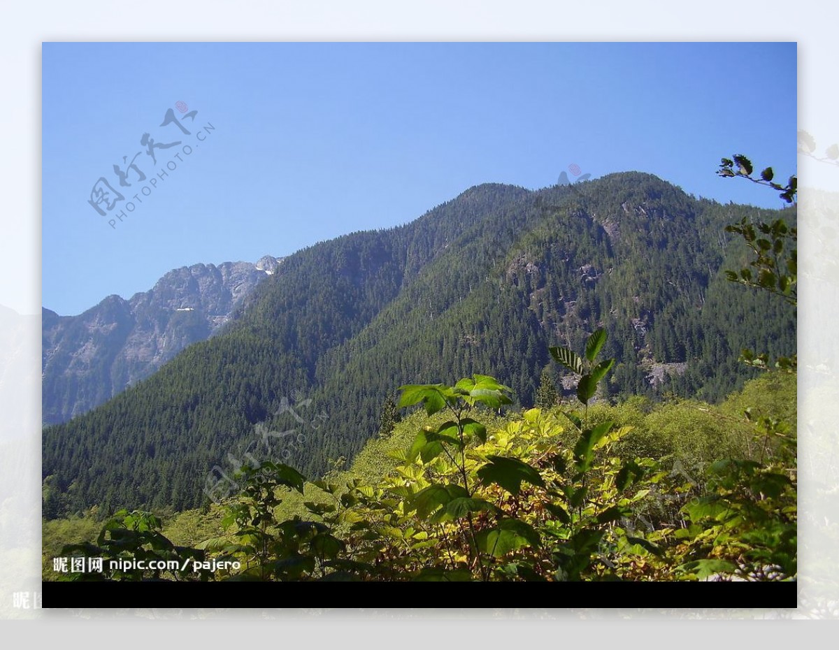 蓝天远山近树图片